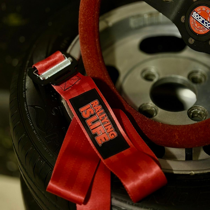 Brenig Harness Belt